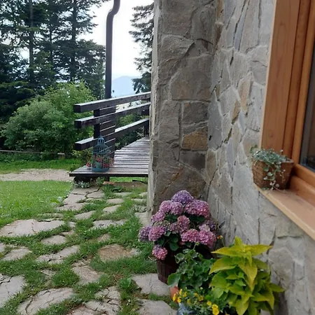Alpesi faház Rogla - Mojca Pokrajculja