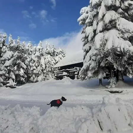 Rogla - Mojca Pokrajculja Alpesi faház Zreče