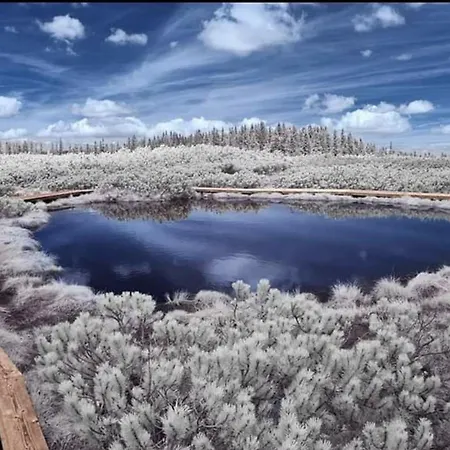 木屋 Rogla - Mojca Pokrajculja