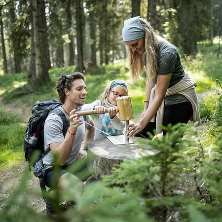 Chalet Rogla Mojca