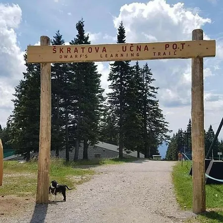 Rogla - Mojca Pokrajculja Alpesi faház Zreče