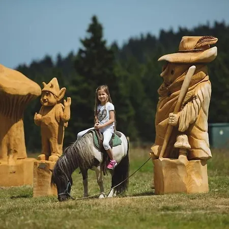 Rogla - Mojca Pokrajculja * Zreče