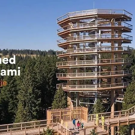 Rogla - Mojca Pokrajculja Chalet *