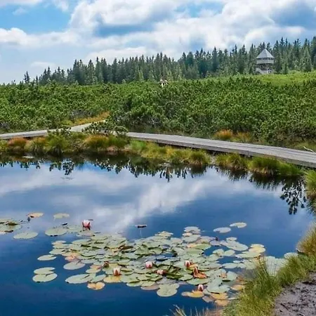 Rogla - Mojca Pokrajculja Zreče