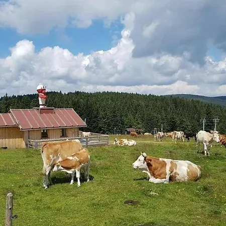 Rogla Chalet Mojca *