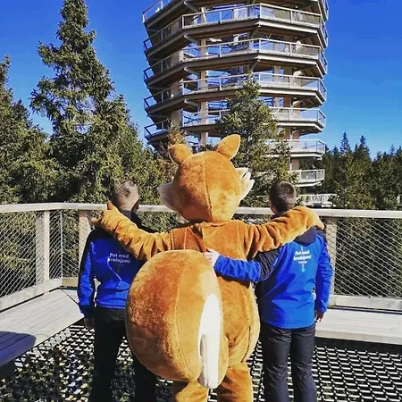 Rogla - Mojca Pokrajculja * Zreče