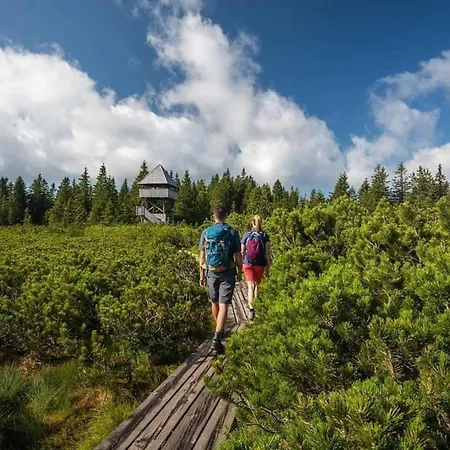 Alpesi faház Rogla - Mojca Pokrajculja