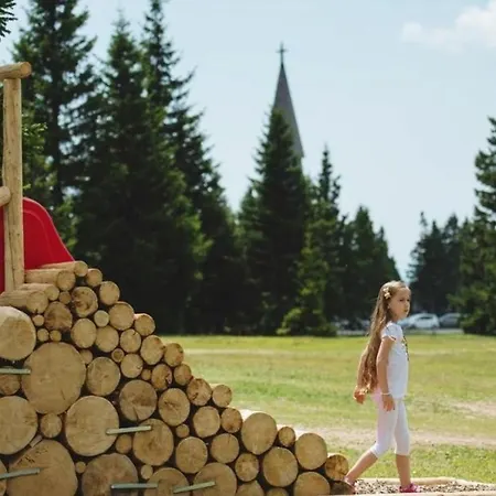 Alpesi faház Rogla - Mojca Pokrajculja Zreče