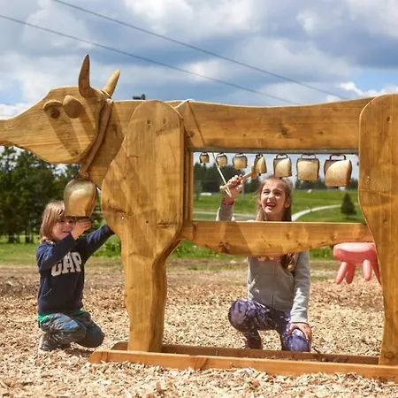 Rogla - Mojca Pokrajculja