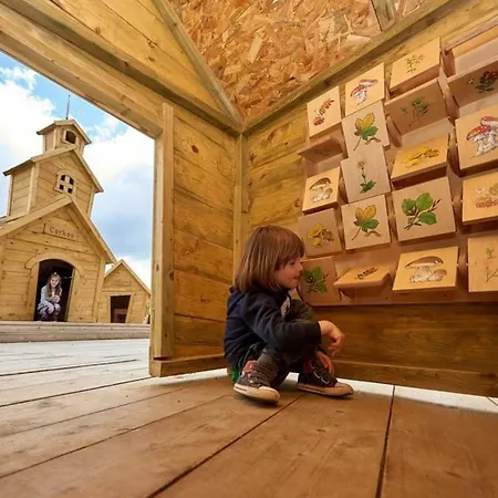 Rogla - Mojca Pokrajculja Chalet