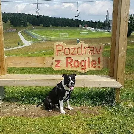 Rogla - Mojca Pokrajculja Alpesi faház