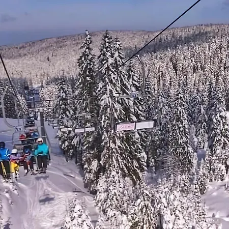 Rogla Chalet Mojca