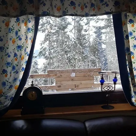 Rogla - Mojca Pokrajculja