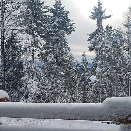 Rogla - Mojca Pokrajculja Alpesi faház