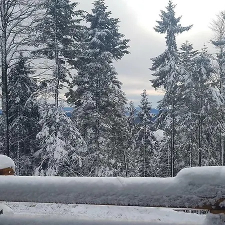 Rogla Mojca Chalet