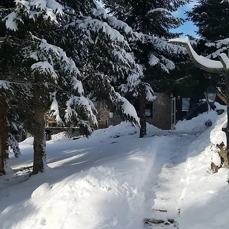 Chalet Rogla Mojca *