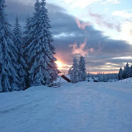 Chalet Rogla Mojca