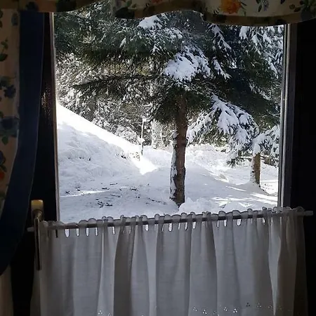 Alpesi faház Rogla - Mojca Pokrajculja *