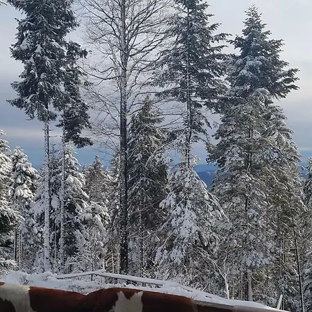 Horská chata Rogla Chalet Mojca