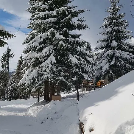Alpesi faház Rogla - Mojca Pokrajculja *