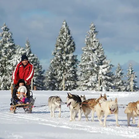 Alpesi faház Rogla - Mojca Pokrajculja *
