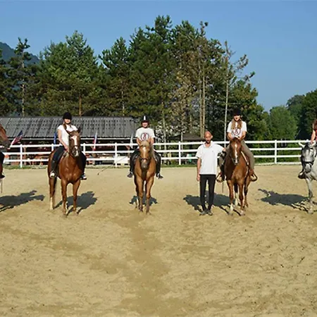 Rogla - Mojca Pokrajculja 茨热塞