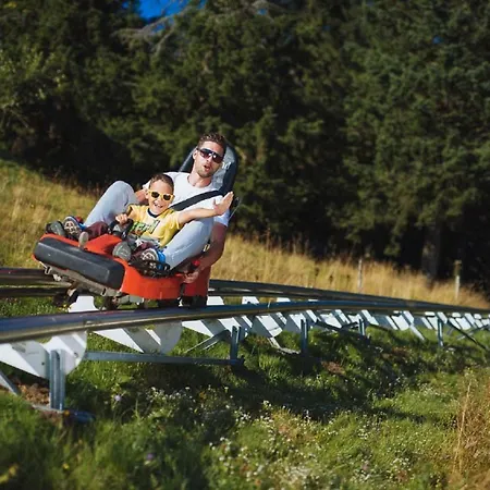 Rogla - Mojca Pokrajculja Zreče