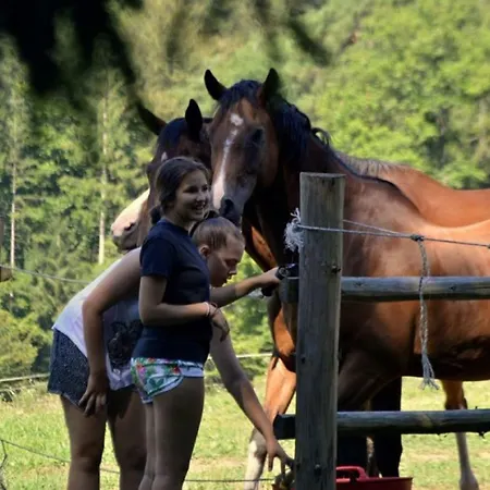 Chalet Rogla - Mojca Pokrajculja Zreče