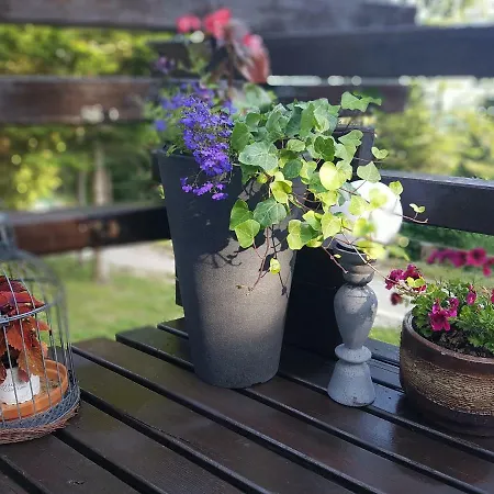 Rogla - Mojca Pokrajculja Chalet Zrece