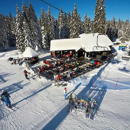 Alpesi faház Rogla - Mojca Pokrajculja Zreče