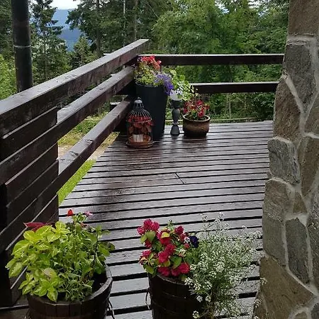 Alpesi faház Rogla - Mojca Pokrajculja Zreče