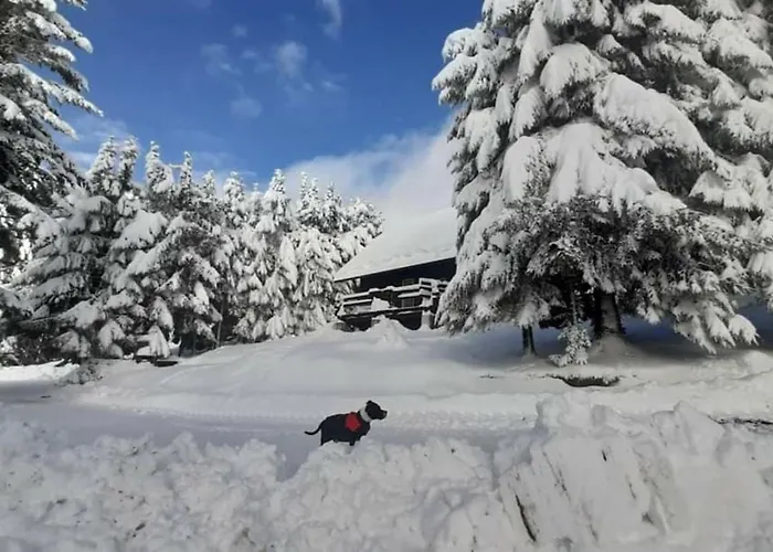 Rogla - Mojca Pokrajculja 木屋 茨热塞