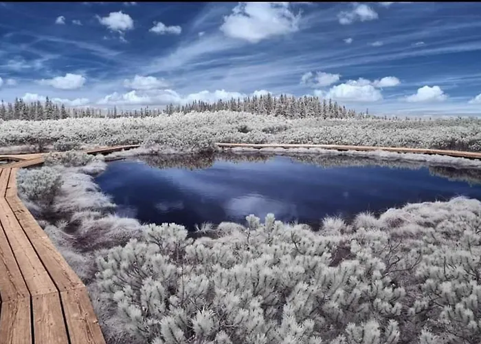 木屋 Rogla - Mojca Pokrajculja