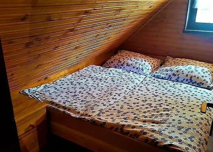 Chalet Rogla - Mojca Pokrajculja