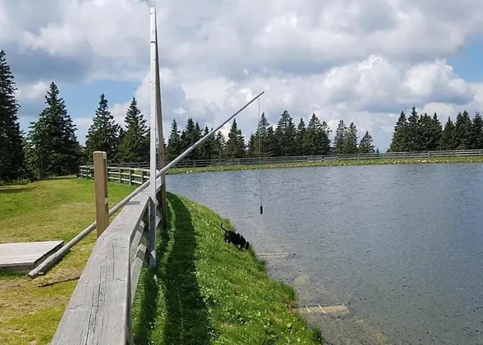 Rogla - Mojca Pokrajculja