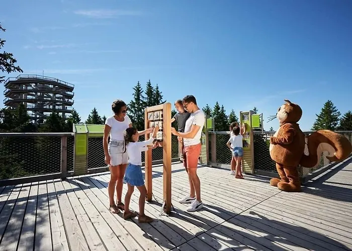 Rogla - Mojca Pokrajculja * 茨热塞