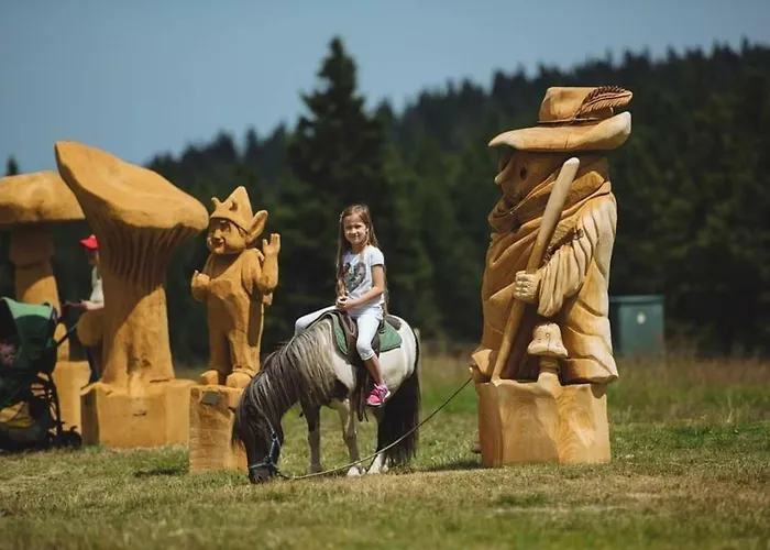 Rogla - Mojca Pokrajculja * Zreče