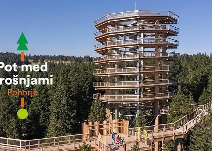 Rogla - Mojca Pokrajculja בקתה *