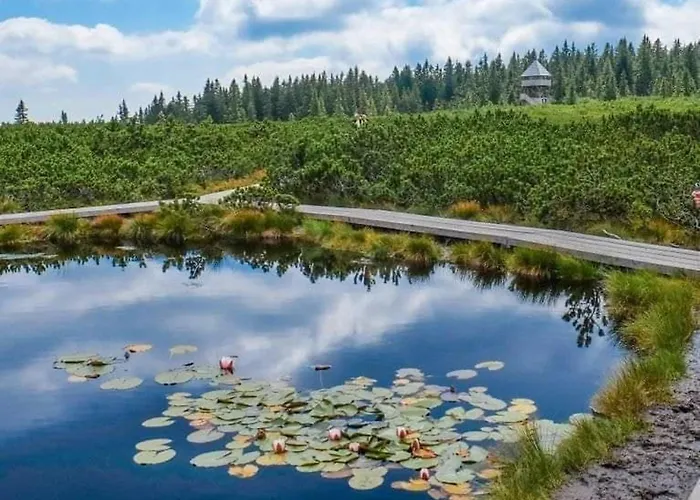 Rogla - Mojca Pokrajculja Zreče