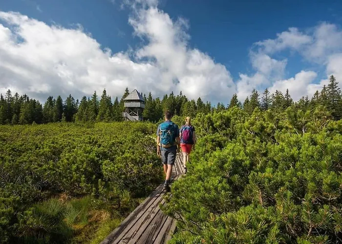 Chalet Rogla - Mojca Pokrajculja