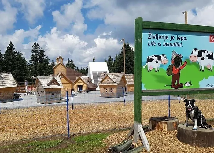 Rogla - Mojca Pokrajculja