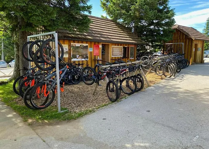 Rogla - Mojca Pokrajculja Chalet