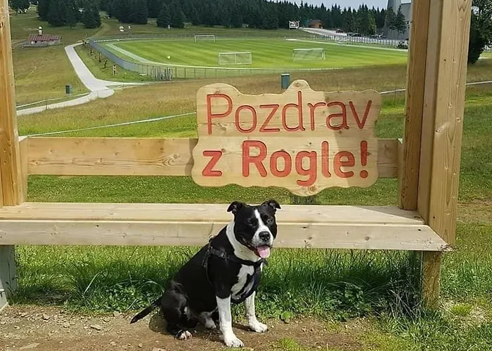 Rogla - Mojca Pokrajculja בקתה