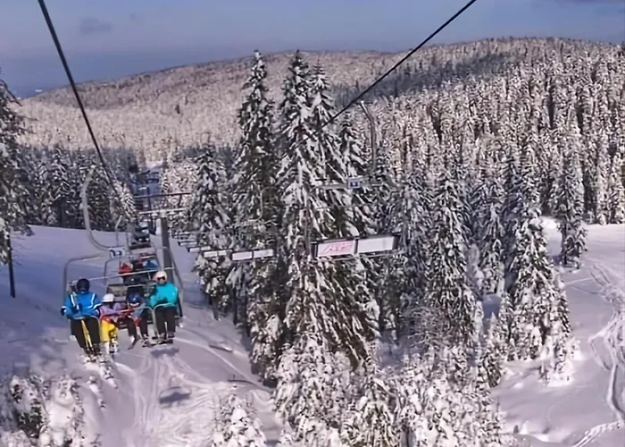 Rogla - Mojca Pokrajculja