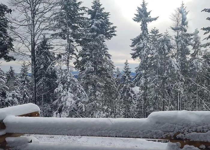 Rogla - Mojca Pokrajculja Chalet