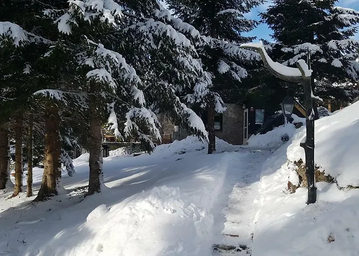 Chalet Rogla - Mojca Pokrajculja *