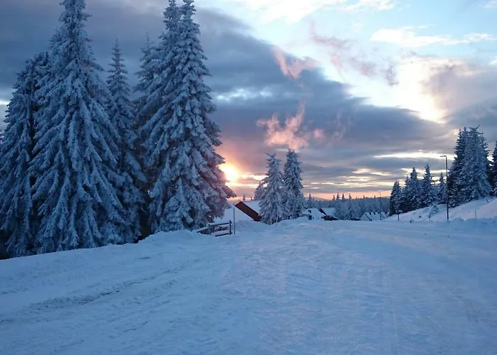 Chalet Rogla - Mojca Pokrajculja