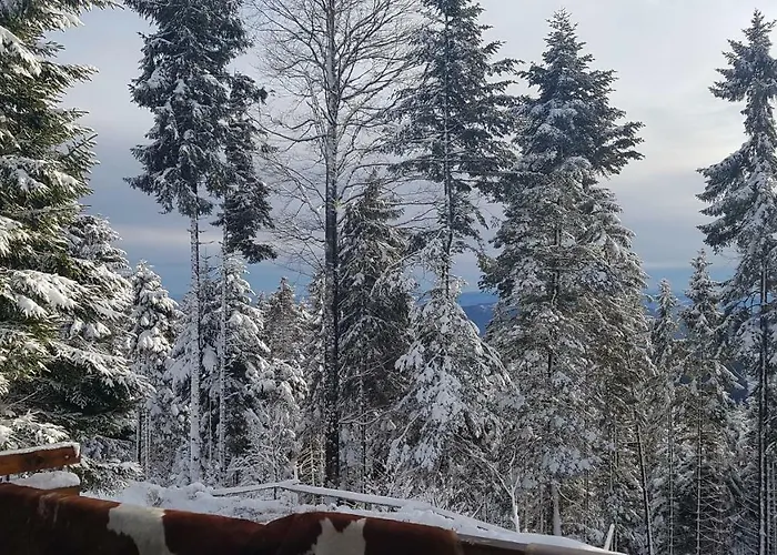 Chalet Rogla - Mojca Pokrajculja