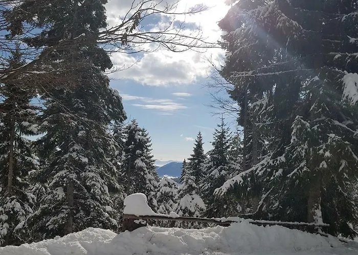 Rogla - Mojca Pokrajculja * Zreče