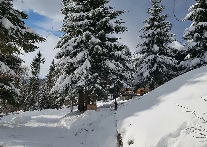 Chalet Rogla - Mojca Pokrajculja *